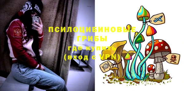 стаф Кирс