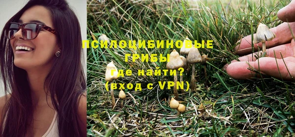 эйфоретик Туринск