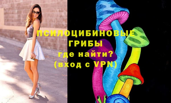 прущий лед Тында