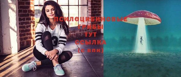 apvp Аркадак
