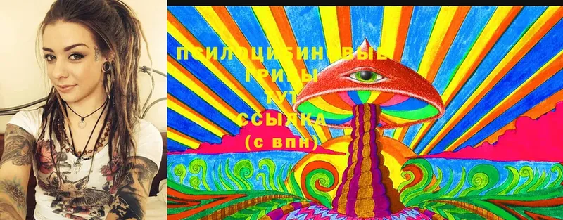 где можно купить   мега   Галлюциногенные грибы Psilocybine cubensis  Краснообск 